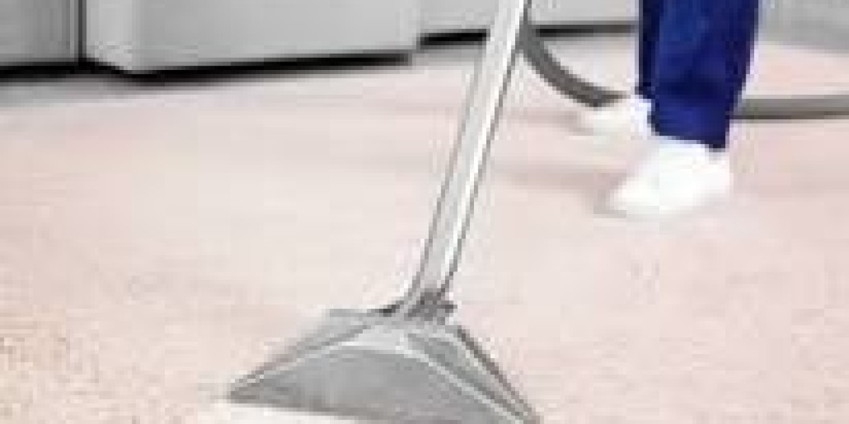 The Benefits of Expert Carpet Cleaning for Enhanced Home Health and Comfort