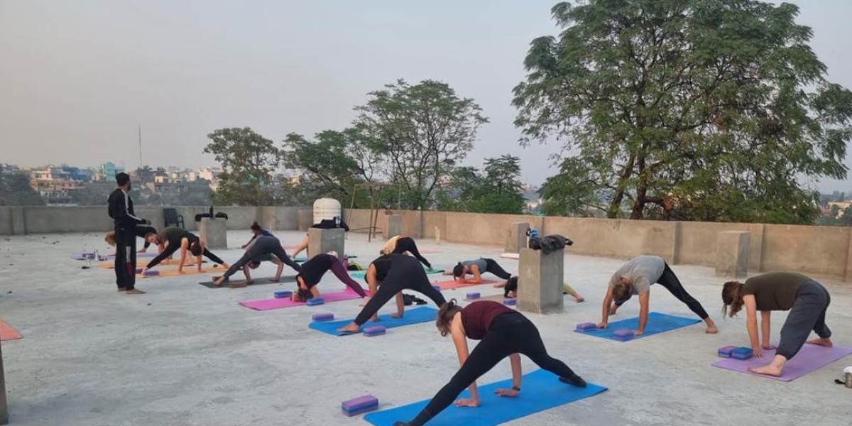 Hatha yoga school in India