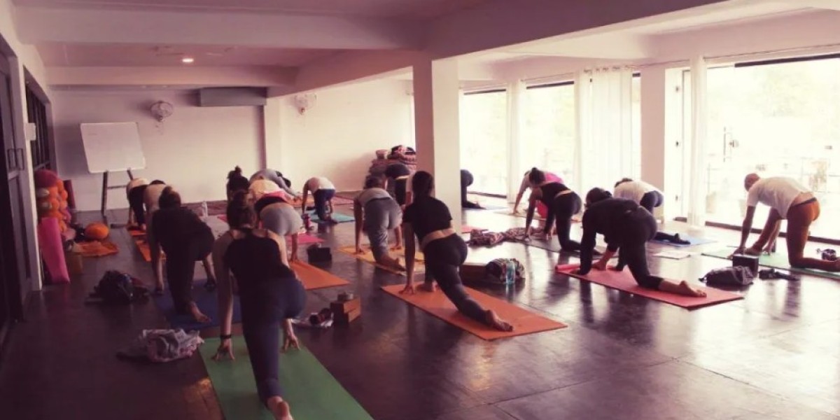 Best 100 Hours Yoga Teacher Training in India