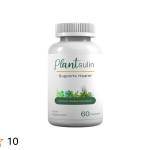 Plantsulin Profile Picture